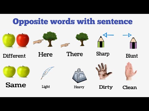 Video: Poți începe o propoziție cu contrariul?