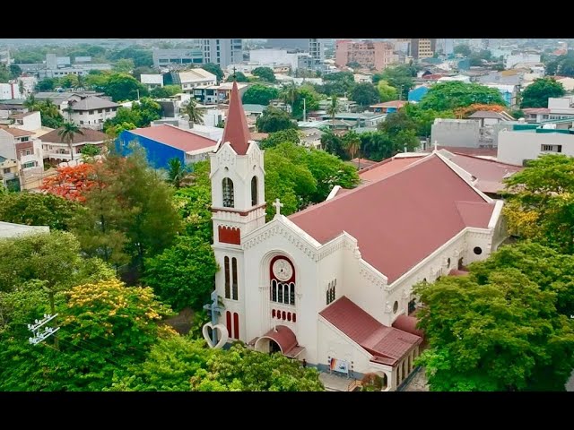 LIVE NOW | HOLY HOUR & NOVENA MASS June 4, 2026