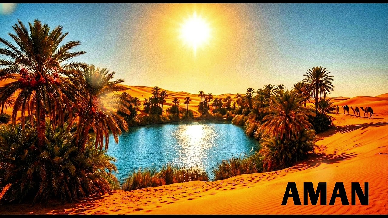 Guitar from the Desert: Tuareg Sounds (AMAN)