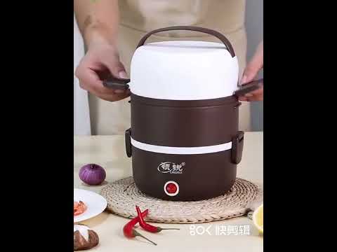 220V Electric Heating Lunch Box Stainless Steel 2L Large Thermal Food Container Warmer Mini Rice Coo