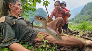 A single mother and an old man harvesting sweet potatoes to sell were attacked by a snake by Lý Thị Chanh 53,017 views 1 month ago 36 minutes