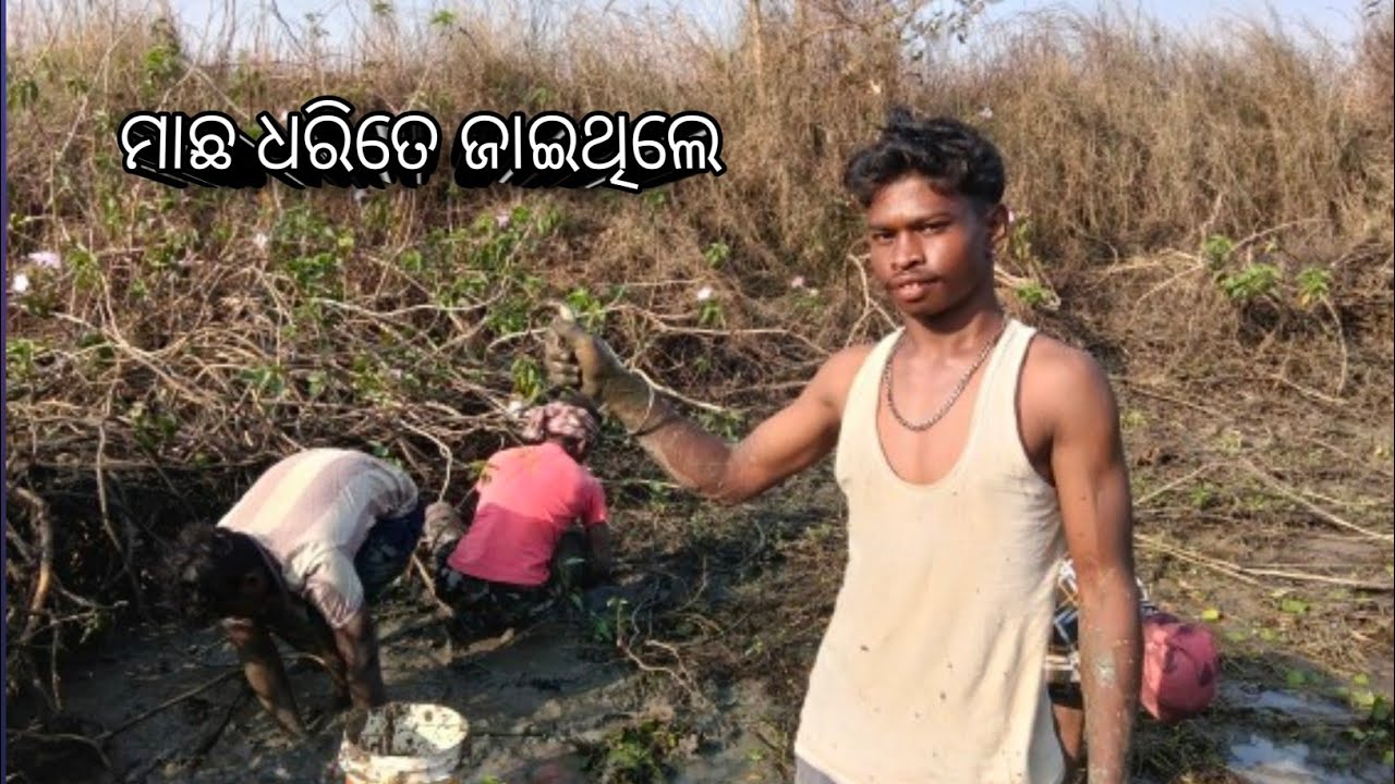 ##ମାଛ ଧରିତେ ଜାଇଥିଲେ,💞