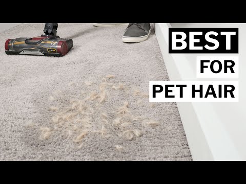 the-best-cordless-vacuum-for-pet-hair