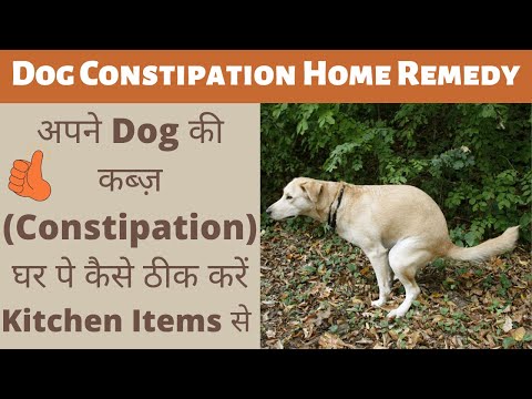 वीडियो: जब आपके कुत्ते को कब्ज हो तो क्या करें?