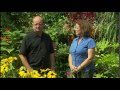 How to create structure in your garden | Troy-Bilt garden tips How to create structure in your garden | Troy-Bilt garden tips