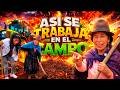 ASI SE TRABAJA EN EL CAMPO  | Washo Washito ft Señora Jashi