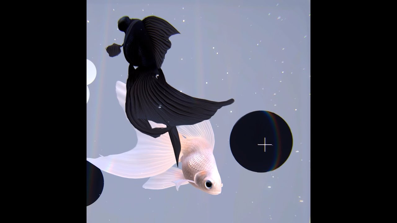 Now able to play with goldfish. (Realtime 3DCG simulation) YouTube