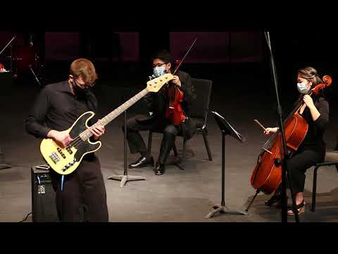Stamitz - Viola Concerto in D major, Op.1 [Electric Bass Version]