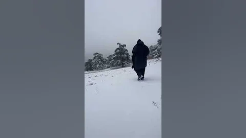 الحضيرة الوطنية بثنية الحد تيسمسيلت غابة المداد 