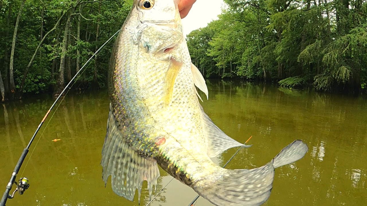 Crappie fishing after a Hot Summer Rain 