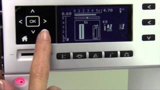Bernina 550 30 Bernina Creative Consultant