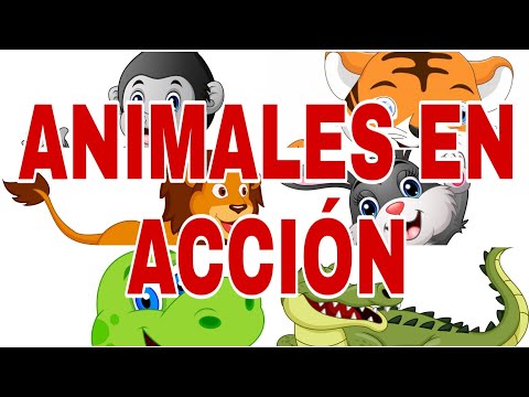 ★Educación Física Preescolar En Casa★Imitar Animales★Motricidad Gruesa★Niños de 2 a 6 años★