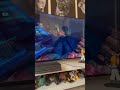 Batman Arkham Asylum Batman Armored Gliding Scene