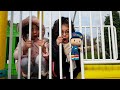 Pepe Parkta Kayboldu Sıla ve Mira Pepeyi Zor Buldu|Eğlenceli Çocuk Videosu