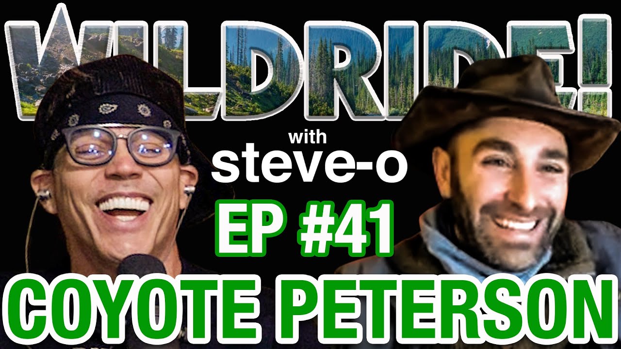Wild Ride Podcast Steve O Wild Ride Podcast Steve O