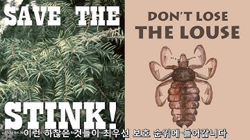 Should We Let Pandas Go Extinct