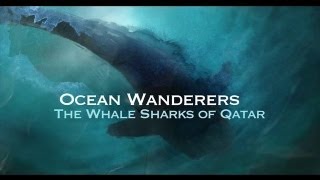 Ocean Wanderers - Whale Shark Documentary
