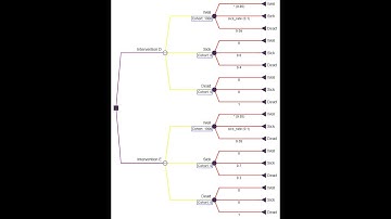 Decision Tree Tutorial Video