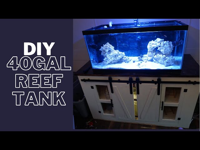 DIY 40 Gallon Reef Tank 