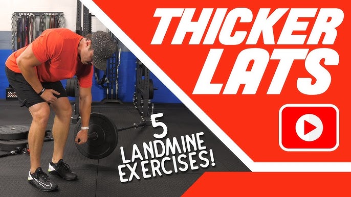 Top 5 Barbell Exercises for Back - Hits All Your Back Muscles