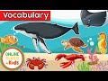 Sea Animals Quiz