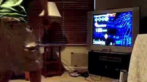 Come Clean Expert - [ICNH] - AAA