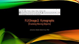 FIJI (ImageJ): Kymographs [Tracking Moving Objects]