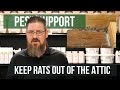 What's the Best Way to Keep Rats Out of My Attic? | Pest Support