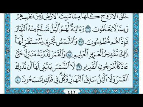 سورة يس للشيخ أحمد حمادي