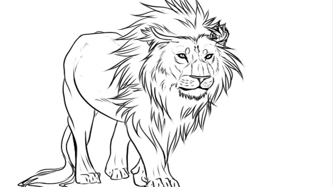 Coloring Pages-Easy Kids Drawing : Lion Drawing Pictures - YouTube