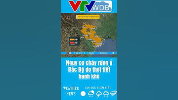 Nguy cơ cháy rừng ở Bắc Bộ do thời tiết hanh khô | VTVWDB