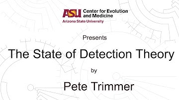 The State of Detection Theory | Pete Trimmer
