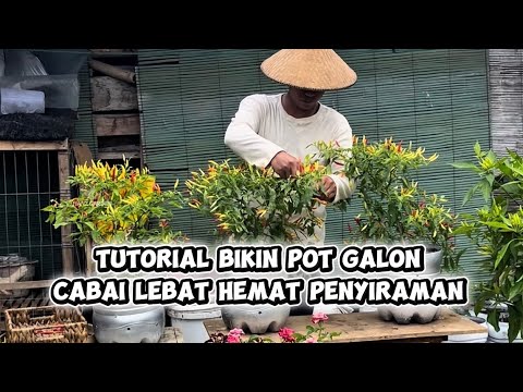 Cara Membuat Pot Dari Galon Air Mineral
