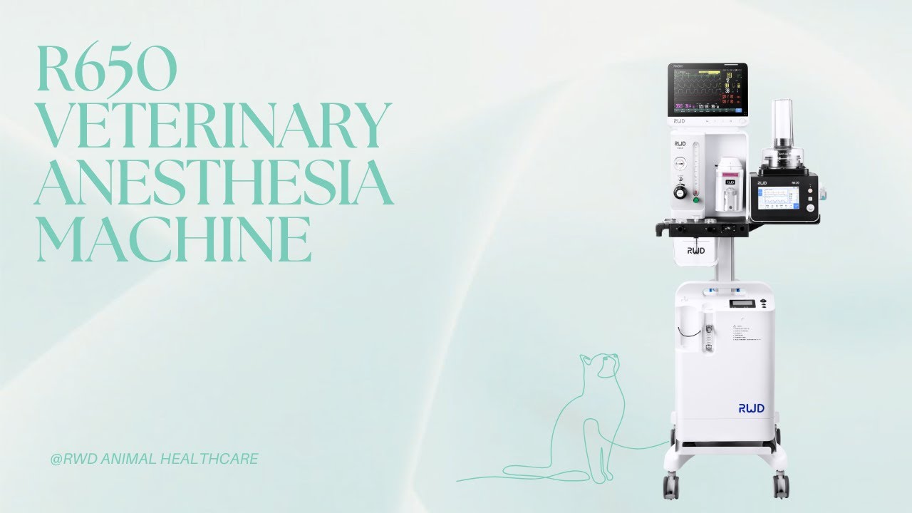 Mos Machine R650 R650 Veterinary Anesthesia Machine: Quality & Practicality for Clinics ...