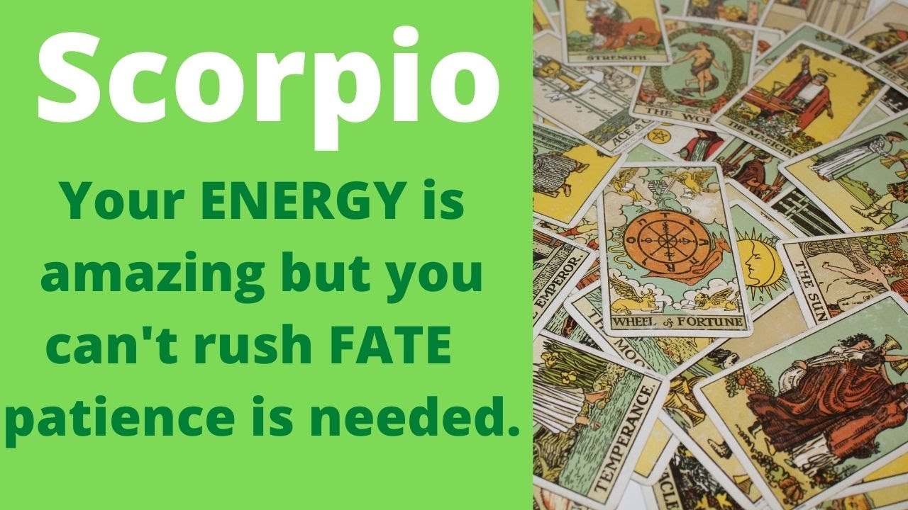 Scorpio timeless horoscope: Your ENERGY is amazing but you can't rush FATE patience is needed.