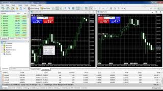 Demo Kontes Forex Tahun 2020 di Weltrade memperebutkan hadiah $100000