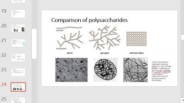 NU Bio 203 Ch 7 OpenSTAX