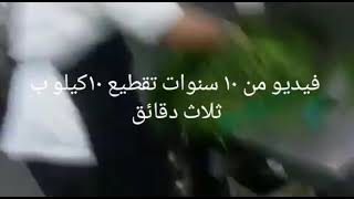 cut 10kg parsley to with 3 minutes اسرع شيف بقطع بقدونس تبوله خبرة