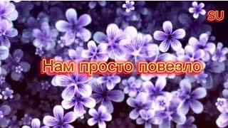 Нам просто повезло