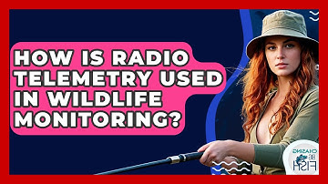 How Is Radio Telemetry Used In Wildlife Monitoring? - Chasing Big Fish