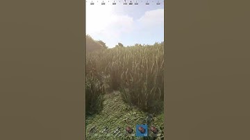 Rust when your down bad