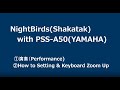 NightBirds (PSS-A50 YAMAHA)