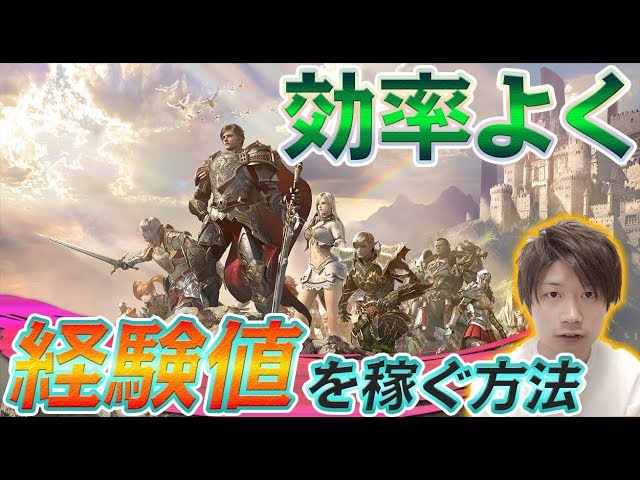 リネレボ 無課金必見 序盤の効率的なレベル上げについて解説 リネージュ２レボリューション Youtube