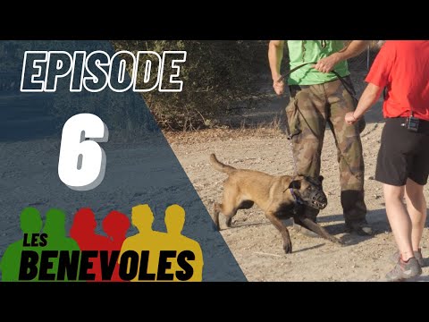Vidéo: Les vétérinaires donnent le coup d'envoi à la chasse aux chiens de race pure au Crufts Dog Show pour leur mauvaise santé