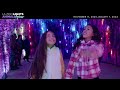 L.A. Zoo Lights: Animals Aglow—2023/2024 Season Starts Nov 17!