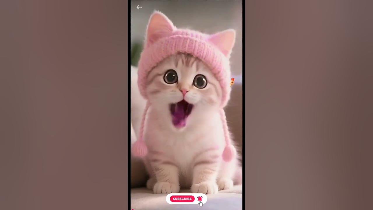 Cute 💝 Pink Cat Singing apt apt Song lyrics #apt #cat #catsinging #aicat #viralshorts