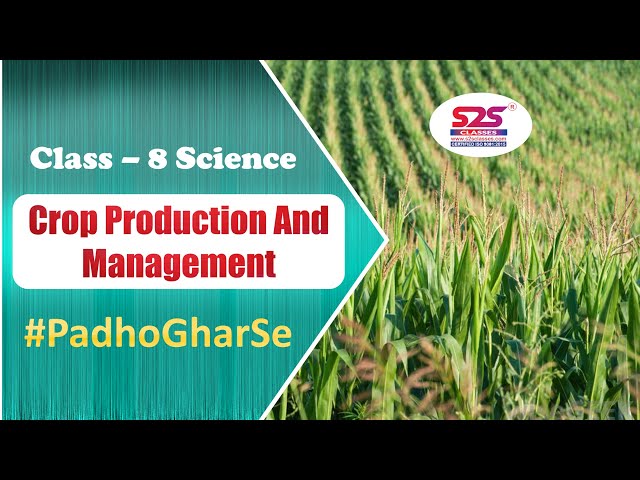 Class 8 Science -Crop Production and Management 🌱 | Class 8 Science Sprint for Final Exams | NCERT