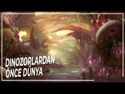 Video: Bu Kedi İzle Gerçek Bir Güven Güz