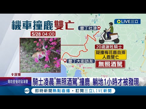 機車騎士"無照酒駕"撞上梅花鹿自摔! 躺地一小時才被發現"人鹿雙亡" 墾管處:酒駕無法申請理賠｜記者 朱俊傑 吳繢杉│【LIVE大現場】20230528│三立新聞台