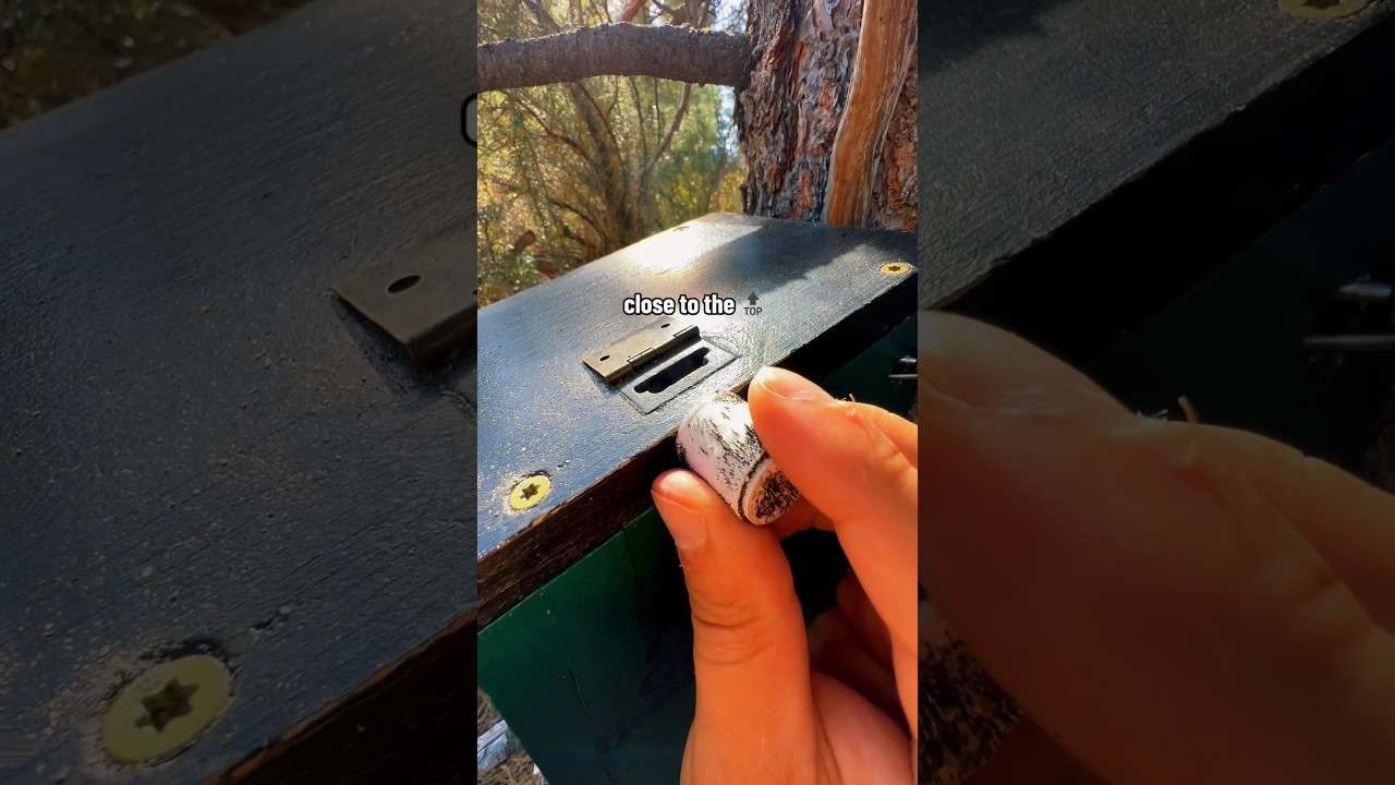 How long would it take YOU to figure out how to *unlock* this 4.0 Difficulty geocache? 👀